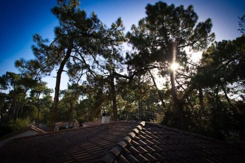 Fotografie z fotogalerie ubytování La Ronce des Pins Classe 3 v destinaci La Tremblade