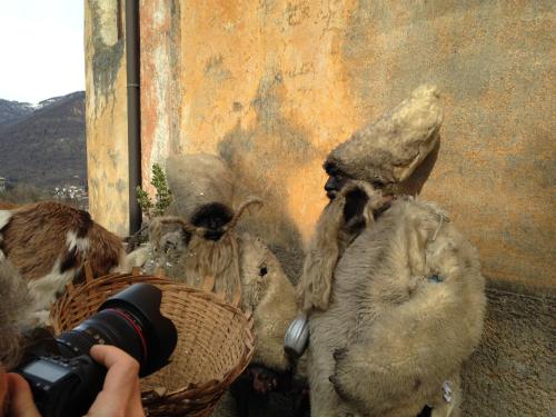 a person taking a picture of animals with a camera at Agriturismo Al Marnich in Schignano