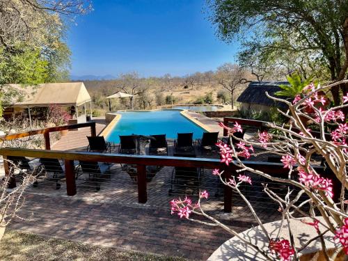 a pool in a yard with chairs and flowers at MILIMA Big 5 Safari Lodge in Hoedspruit