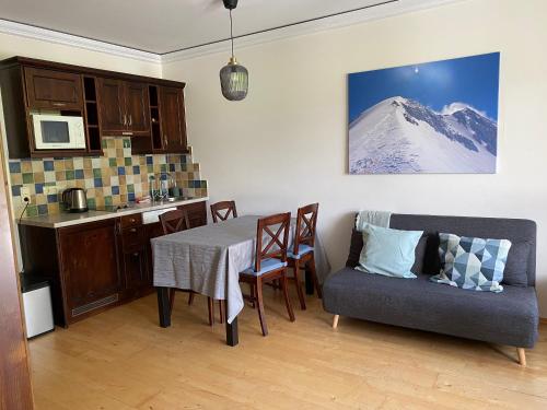 kuchnia i jadalnia ze stołem i kanapą w obiekcie 3-Zimmer Appartement in Zwieselstein (Sölden) w Solden