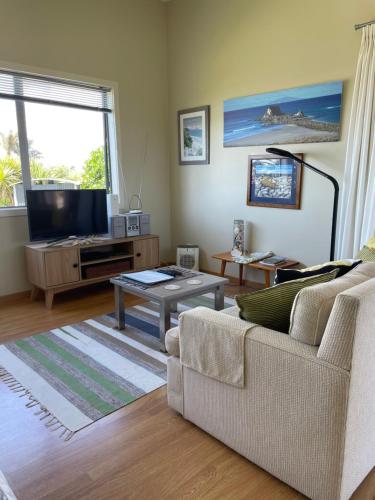a living room with a couch and a tv at Chalet Cullen, in Mangawhai