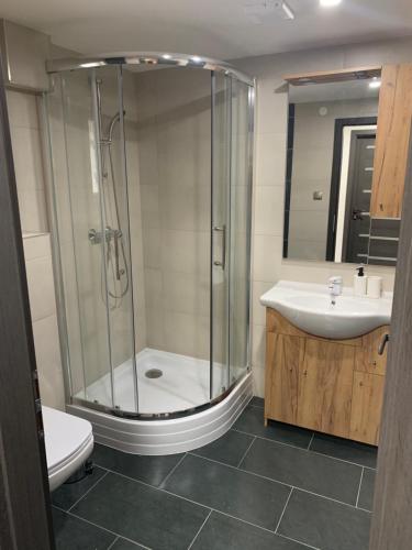 a bathroom with a shower and a sink and a toilet at Apartmán u Drahotů in Pernink
