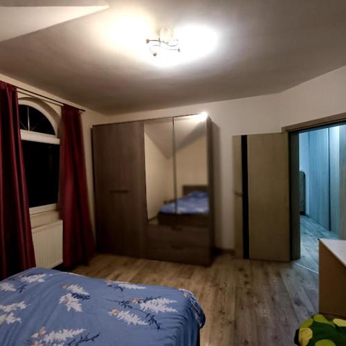 a bedroom with a bed and a mirror in it at MARIJA sa besplatnim parkingom in Novi Beograd