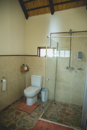 a bathroom with a toilet and a glass shower at Thokozani Lodge in White River