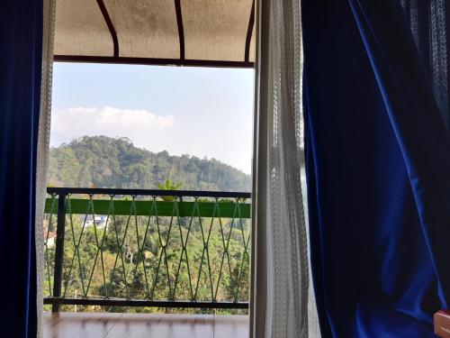 a window with a view of a vineyard at Raymond's Holiday Homes in Vythiri