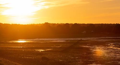 a sunset over a body of water with trees at Haus Jungnamen Sand Whg. 14 in Wittdün
