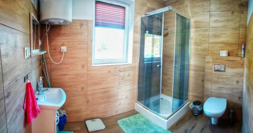 a bathroom with a shower and a toilet and a sink at Alma in Rzyki