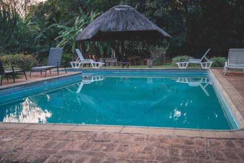 uma piscina com cadeiras e um gazebo em Thokozani Lodge em White River