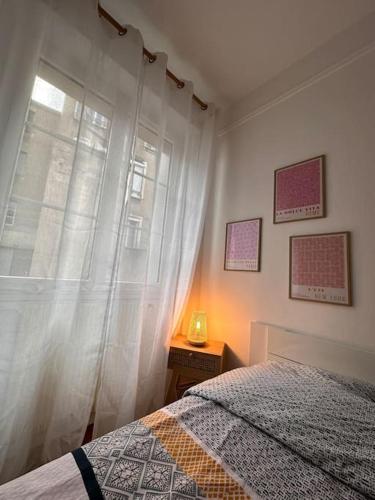 une chambre avec un lit et une fenêtre avec des rideaux dans l'établissement Le beau Milo 2 chambres Coeur de ville avec Balcon Netflix, au Creusot