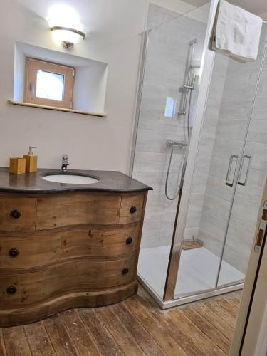 une salle de bain avec un lavabo et une douche dans l'établissement Château de Parançay - 15 people lodge, à Bernay