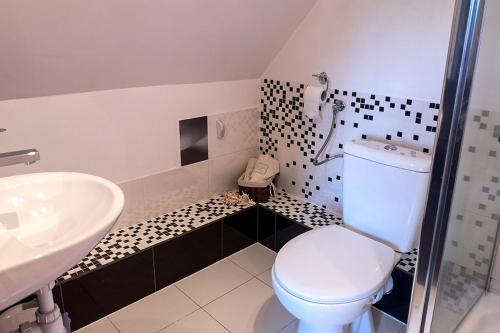 a bathroom with a white toilet and a sink at Ranczo Spełnionych Marzeń in Sosnówka