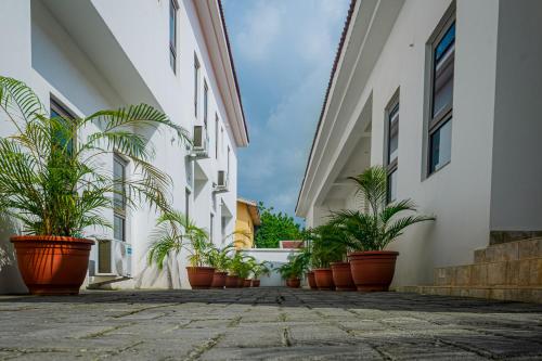 a row of potted plants on the side of a building at Quest Boutique Hotel in Gwarinpa
