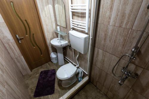 mała łazienka z toaletą i umywalką w obiekcie Casa Nicula w mieście Avrig