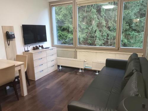 TV a/nebo společenská místnost v ubytování Apartment Harrachov Resident Vesna by Interhome