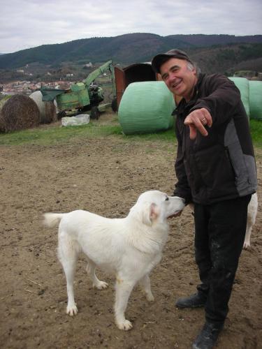 a man is standing next to a white dog at Agriturismo San Vito in Crocemaroggia