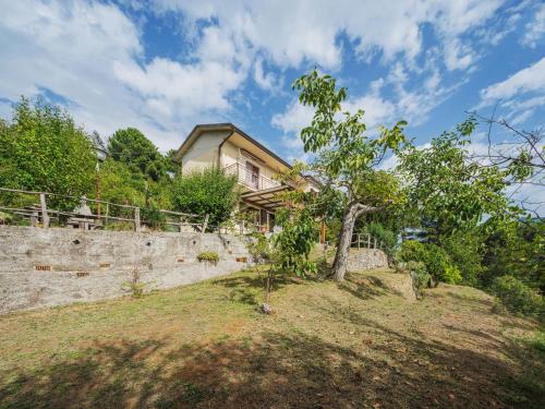 a house on a hill with a tree at Holiday Home Casa Giulia by Interhome in Seravezza