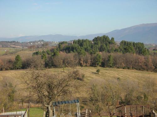 a field with trees and mountains in the distance at Agriturismo San Vito in Crocemaroggia