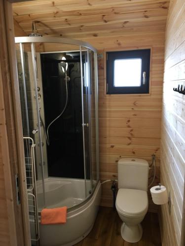 a small bathroom with a toilet and a shower at Domki Letniskowe Korsarz in Rowy