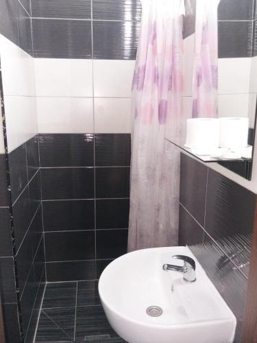 ein Badezimmer mit einem weißen Waschbecken und einer Dusche in der Unterkunft Bed and Breakfast M Jasmin in Sarajevo