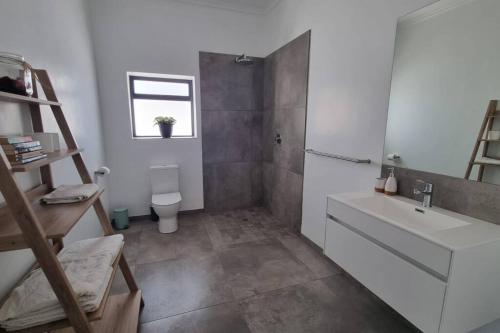 baño con lavabo, aseo y escalera en Bestuis Cottage - Self catering accommodation on a farm, en Klapmuts