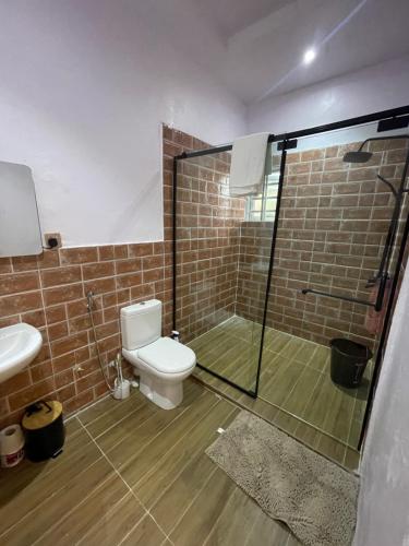 W łazience znajduje się toaleta i przeszklony prysznic. w obiekcie Villa Sofia w mieście Abeokuta