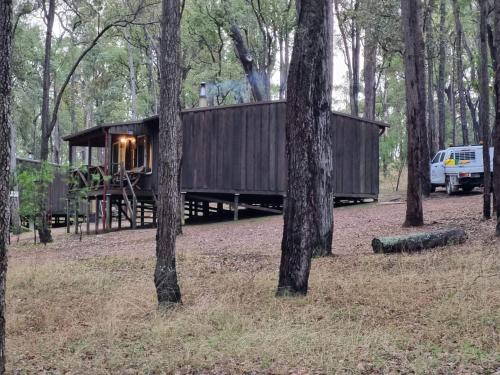 a cabin in the middle of a forest with trees at Balingup TimberTop Cottages in Balingup