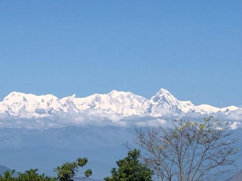 a snow covered mountain range with a tree in the foreground at The Hotel in Bandīpur