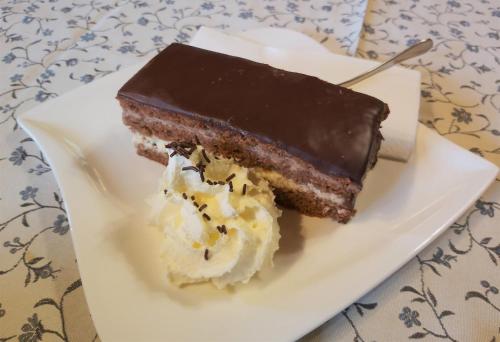 a piece of chocolate cake and whipped cream on a plate at Pension Holzmeister in Sankt Kathrein am Offenegg