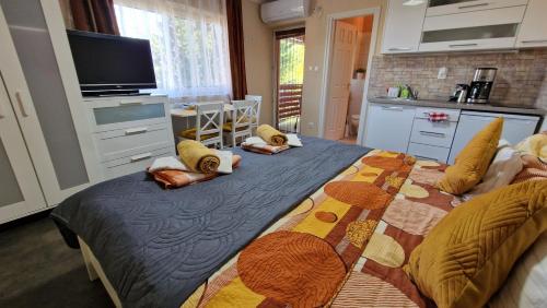 Η κουζίνα ή μικρή κουζίνα στο Veronika Villa