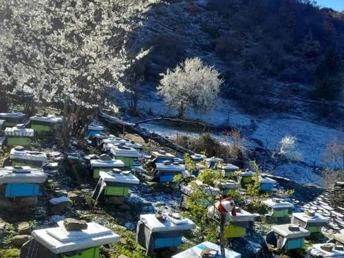Φυσικό τοπίο κοντά σε αυτό το δωμάτιο σε οικογενειακή κατοικία