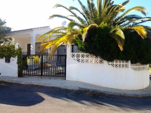 a white fence with a palm tree in front of a house at House near beach in Peñíscola for 4 in Peñíscola