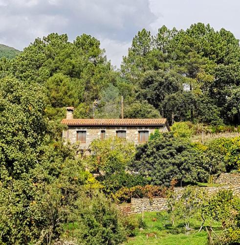 Casa Rural en Candeleda con piscina y un maravilloso jardín