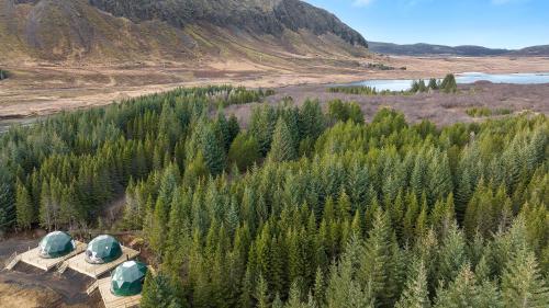 an aerial view of a forest of trees and a river at Golden Circle Domes - Glamping Experience in Selfoss