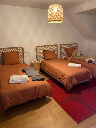 - une chambre avec 2 lits avec un chien assis au-dessus dans l'établissement Maison charmante à 15mn à pied de la mer, à Arradon