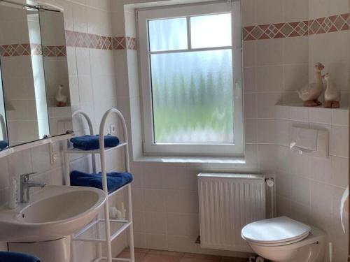 a bathroom with a sink and a toilet and a window at Ferienwohnung Feldblick auf der Sonneninsel Fehmarn in Schlagsdorf