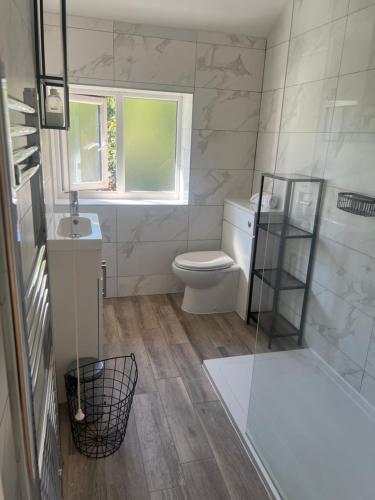 a bathroom with a toilet and a glass shower at Forest View in Coed Ely
