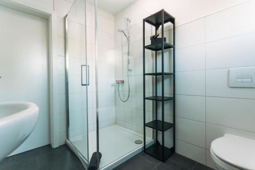 a bathroom with a shower and a toilet and a sink at Das Schlafgut Dessau in Dessau