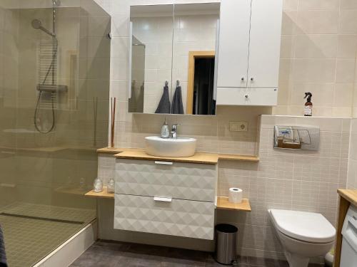 y baño con lavabo, aseo y ducha. en Panoramic Apartment Vilnius, en Vilna