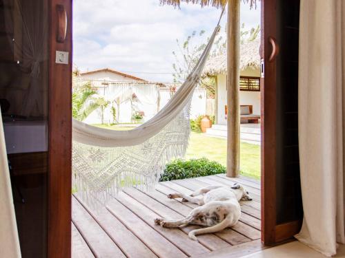 un chien dormant dans un hamac sur une terrasse couverte dans l'établissement Vilarejo Preá, à Prea