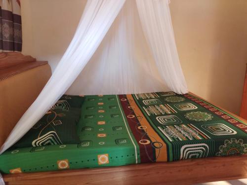 a bed with a canopy with a green blanket on it at FRANGKY HOMESTAY in Manado