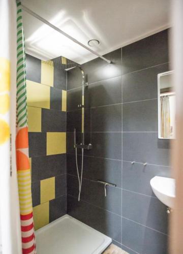a bathroom with a shower and a sink at Coeur de Boeur in Houffalize