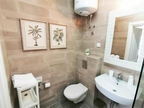 uma casa de banho com um WC, um lavatório e um espelho. em Apartments Villa Kukoljac em Herceg Novi