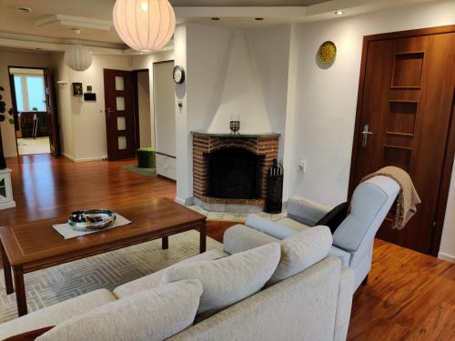 - un salon avec deux canapés et une cheminée dans l'établissement Luxury apartment 130 m2, à Katrineholm