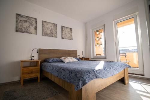 Un dormitorio con una cama grande y una ventana en Apartment Biscan, en Sveta Nedjelja