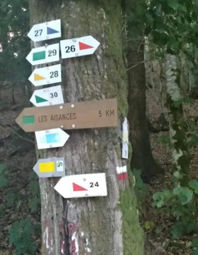 a bunch of street signs on a tree at Dikke Vriend , herberg & taverne in Chiny