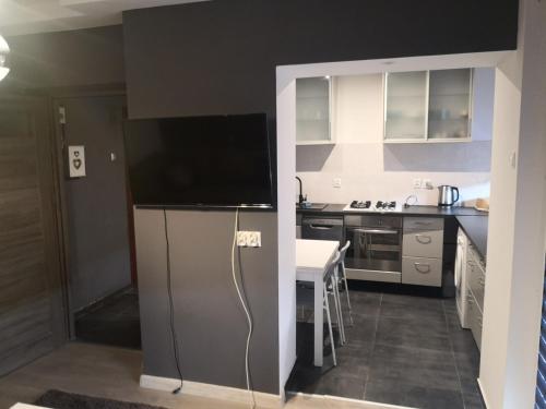 a kitchen with a large television on the wall at Apartament przy Parku in Żywiec