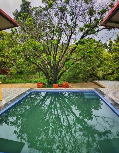 a swimming pool with a tree in the background at Farmhouse with Pool - Kalavady Farmstay in Baindūru