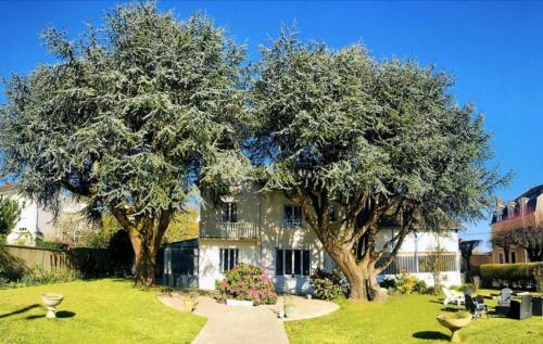 LA MAISON BLANCHE – Photos 2