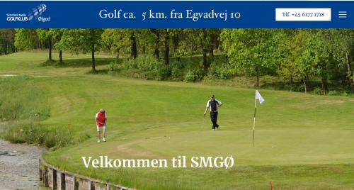 two men are playing golf on a golf course at Awesome Foersum in Tarm