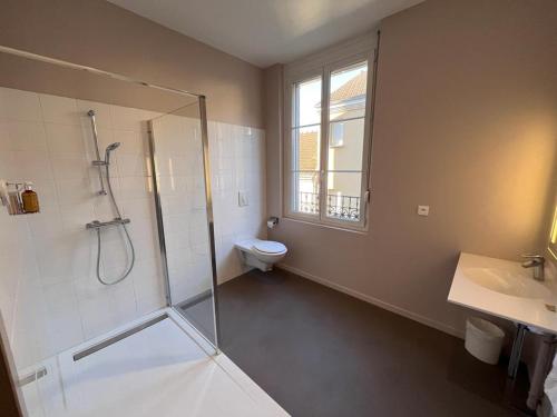 y baño con ducha, aseo y lavamanos. en Hotel du Pot d'Etain, en Châlons-en-Champagne